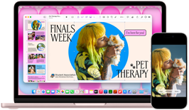 MacBook Neo, color rosa rubor, junto a un iPhone, la pantalla de la MacBook Neo muestra una presentación en pantalla sobre terapia con mascotas y exámenes de fin de año con la foto de una persona que sostiene un cuy, la pantalla del iPhone muestra la misma foto convertida en un sticker para usar en la presentación