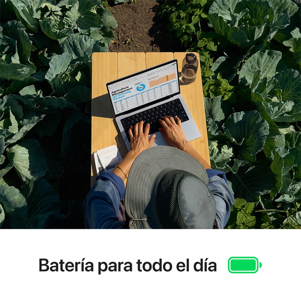 MacBook Pro 14" M4 - 10 CPU, 10 GPU, 16 GB, 512 GB - Negro Espacial