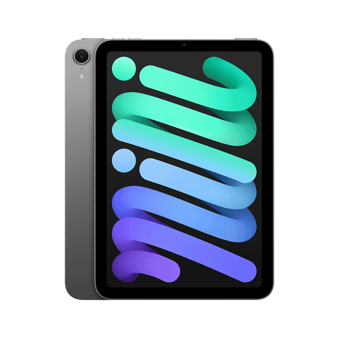 iPad mini Wi-Fi 256 GB - Gris Espacial