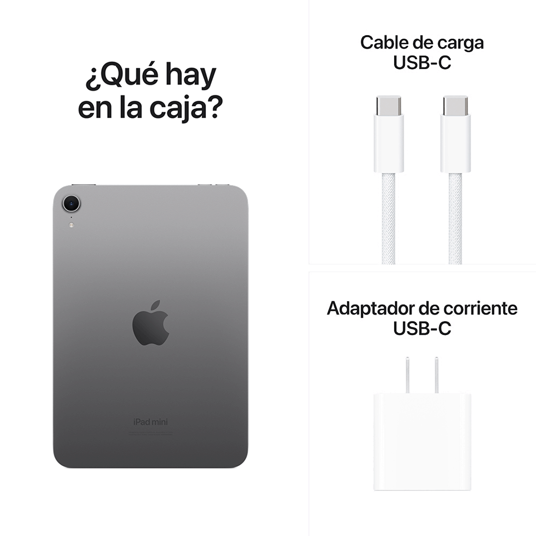 iPad mini Wi-Fi 256 GB - Gris Espacial