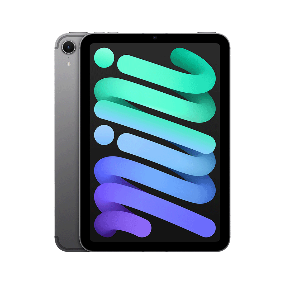 iPad mini Wi-Fi + Cellular 128 GB - Gris Espacial