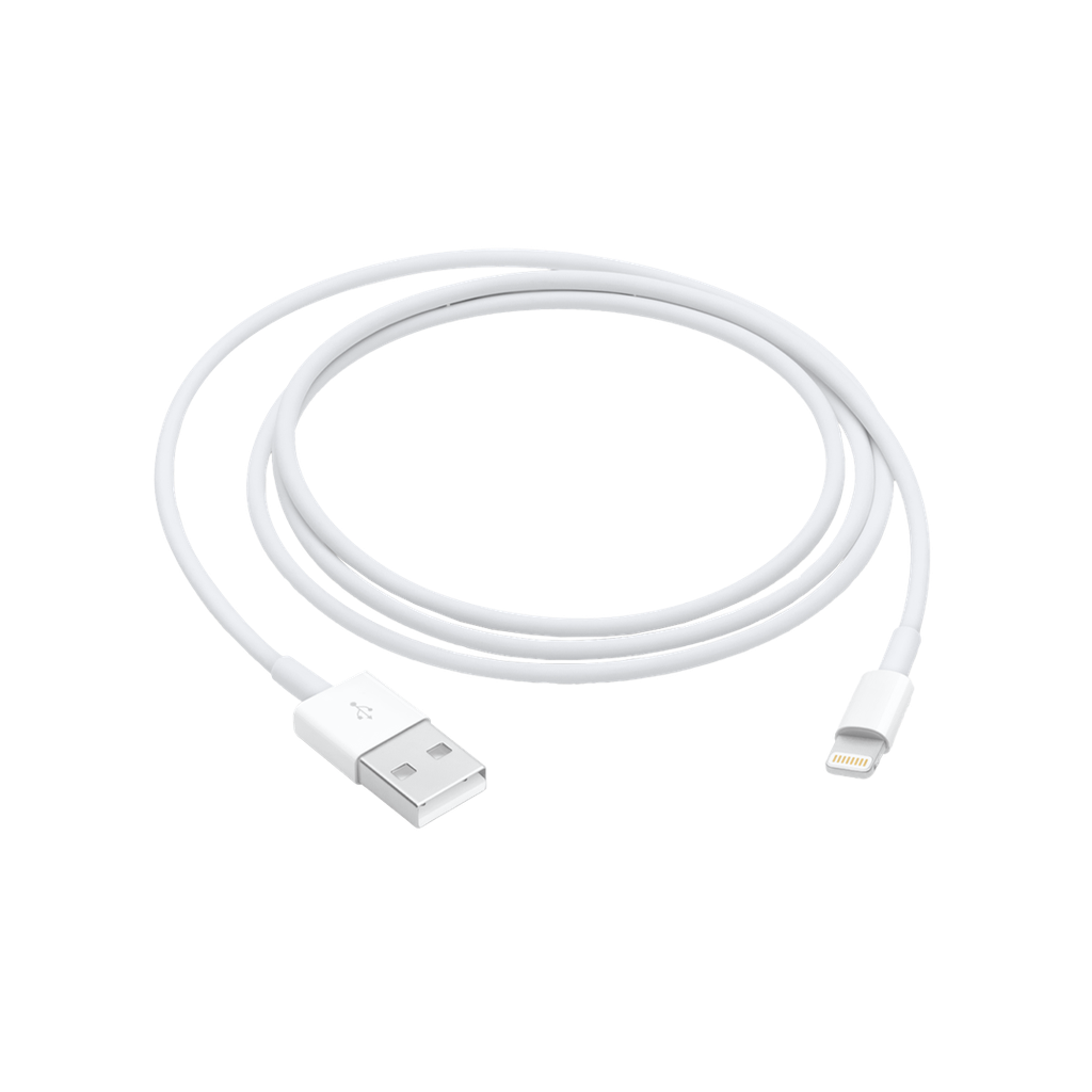 Cable Apple Lightning a USB (1 M)