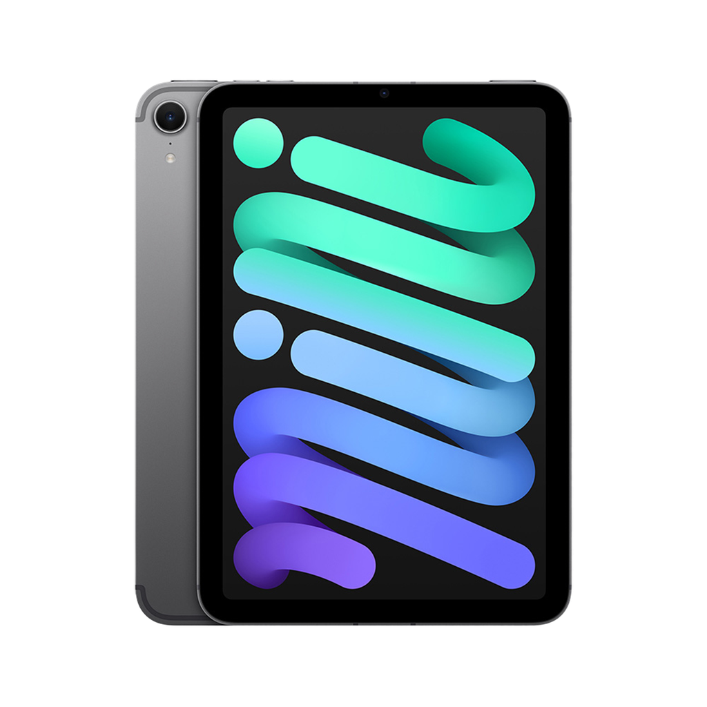 iPad mini Wi-Fi + Cellular 128 GB - Gris Espacial