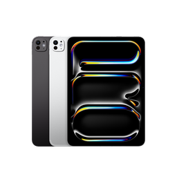 iPad Pro 11" M4 Wi-Fi + Cellular