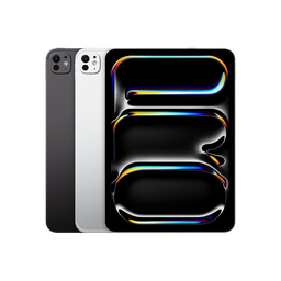 iPad Pro 11" (M4) Wi-Fi